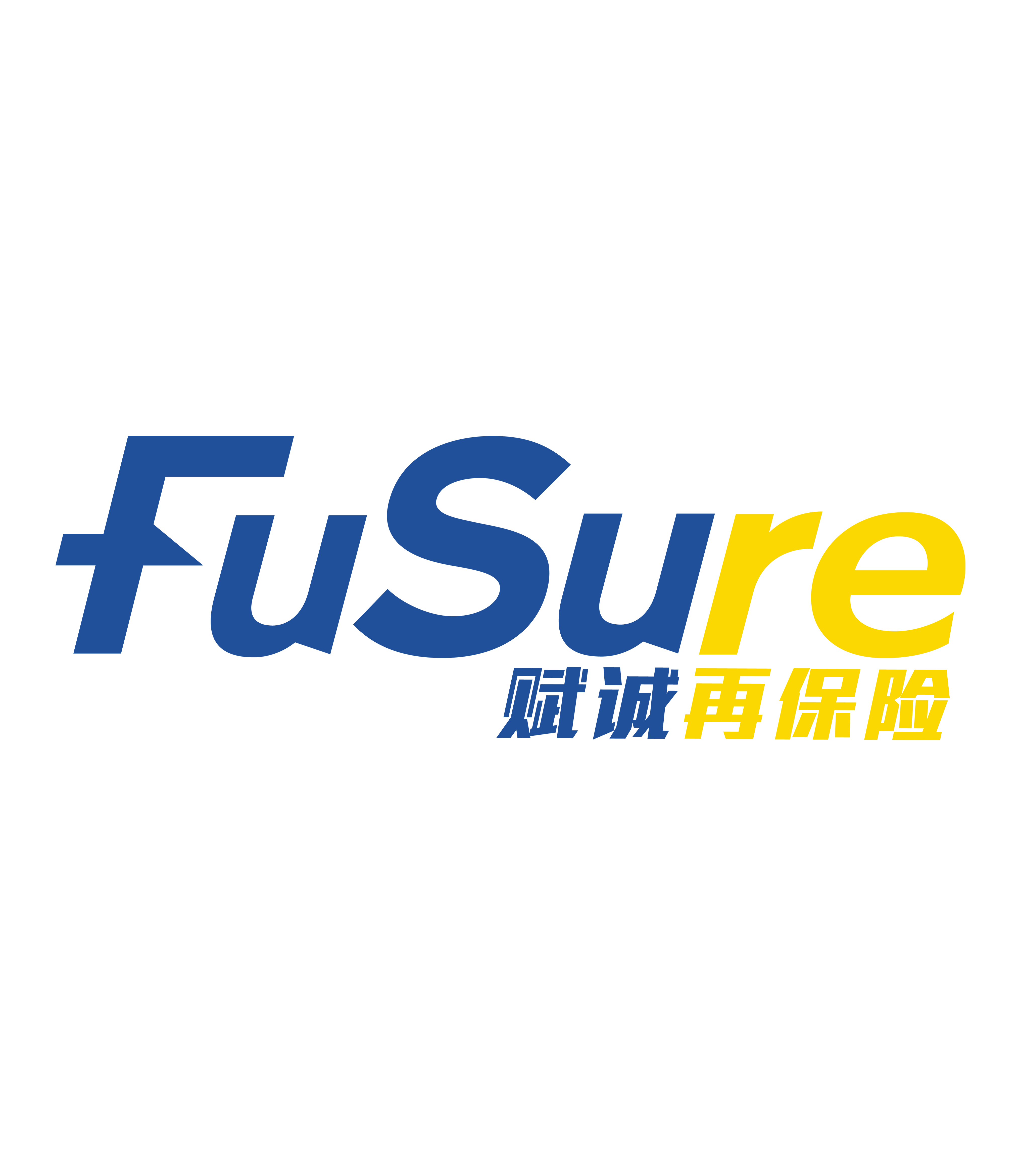 公司介绍